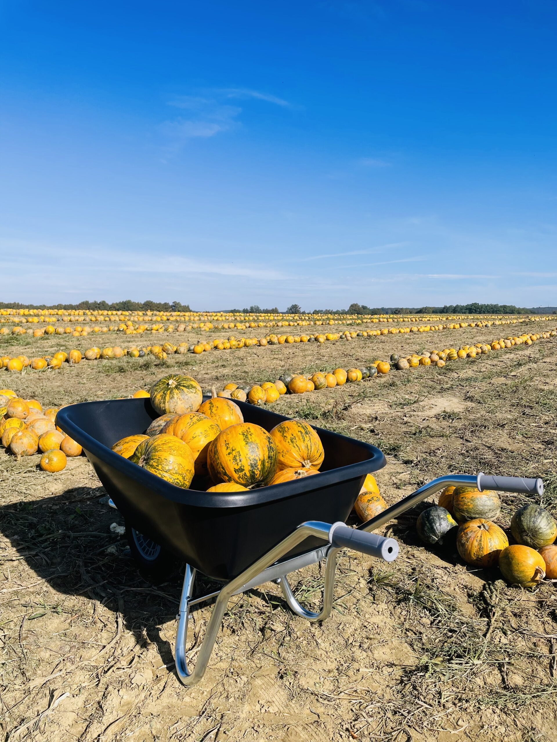 6624 tnt wheelbarrow tnt1 200l black 5