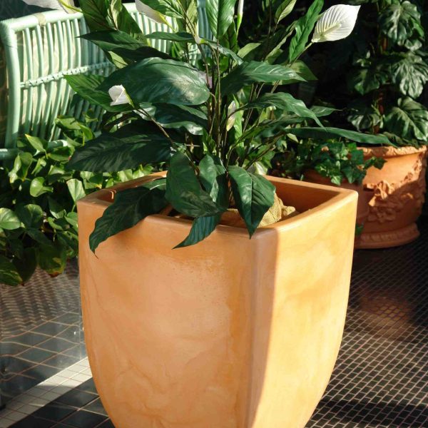 6164 square planter jive l 2